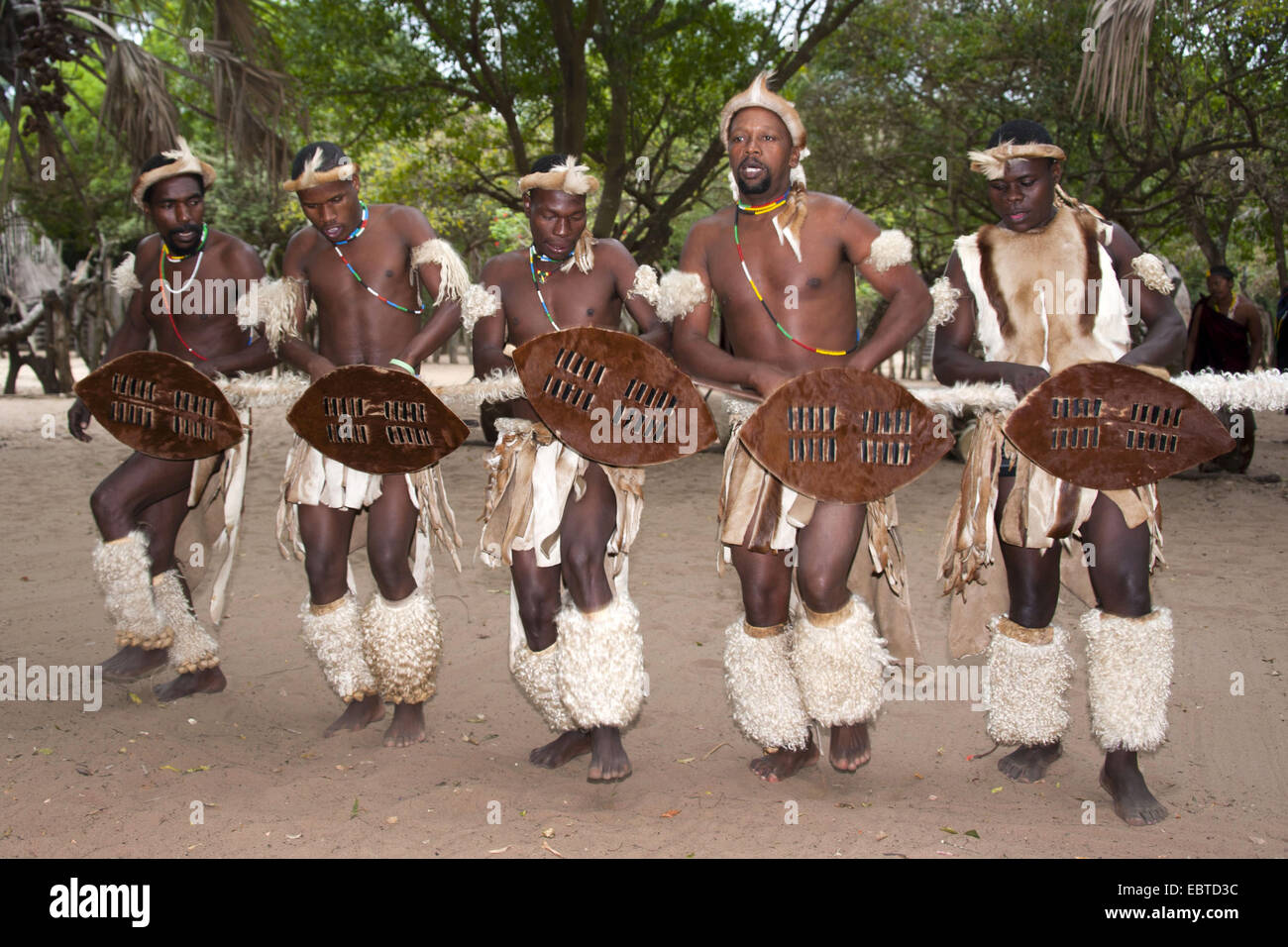 Zulu Männer Durchführung einer traditionellen Tanz in ein Open-Air-Museum, South Africa, Kwazulu-Natal, DumaZulu Stockfoto