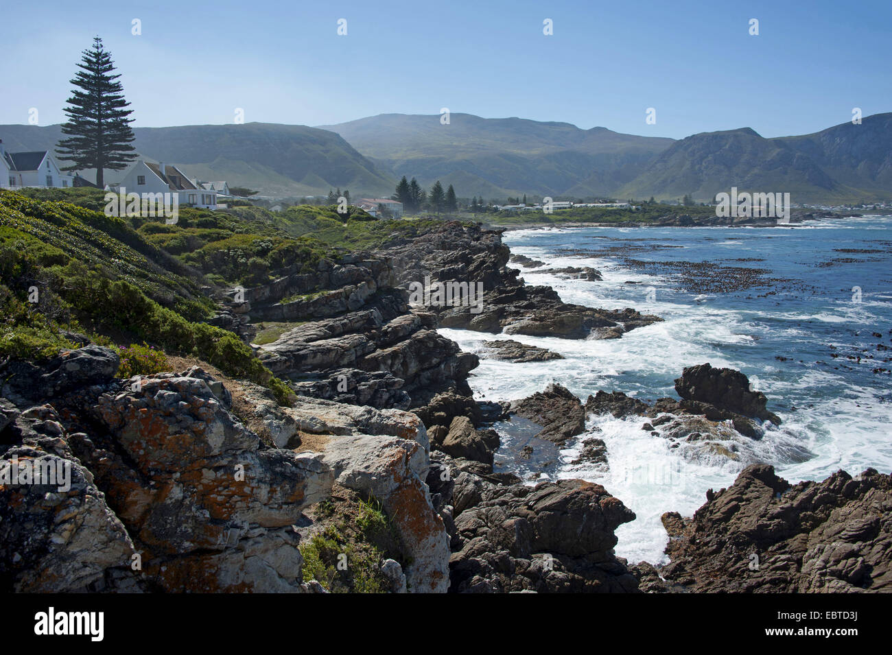 Resort an der felsigen Atlantikküste Südafrika, Western Cape, Hermanus Stockfoto