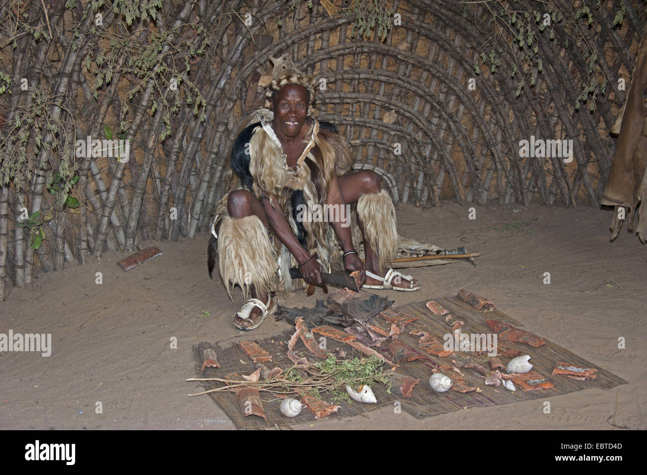 Zulu Medizinmann in einem traditionellen Haus in einem Open-Air-Museum, South Africa, Kwazulu-Natal, DumaZulu Stockfoto