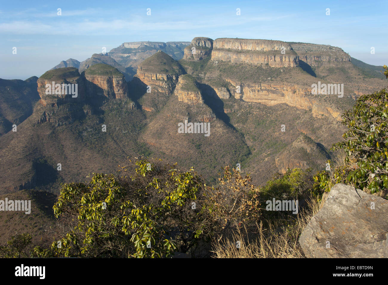 "The Tree Rondavels" rockt im Blyde River Canyon, South Africa, Mpumalanga, Panorama Route, Graskop Stockfoto