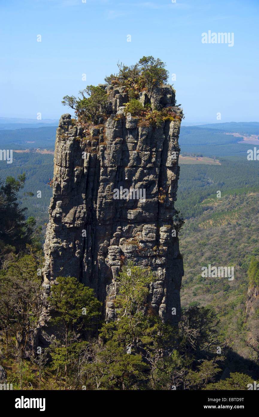 Rock Nadel "den Höhepunkt" im Blyde River Canyon, South Africa, Mpumalanga, Panorama Route, Graskop Stockfoto
