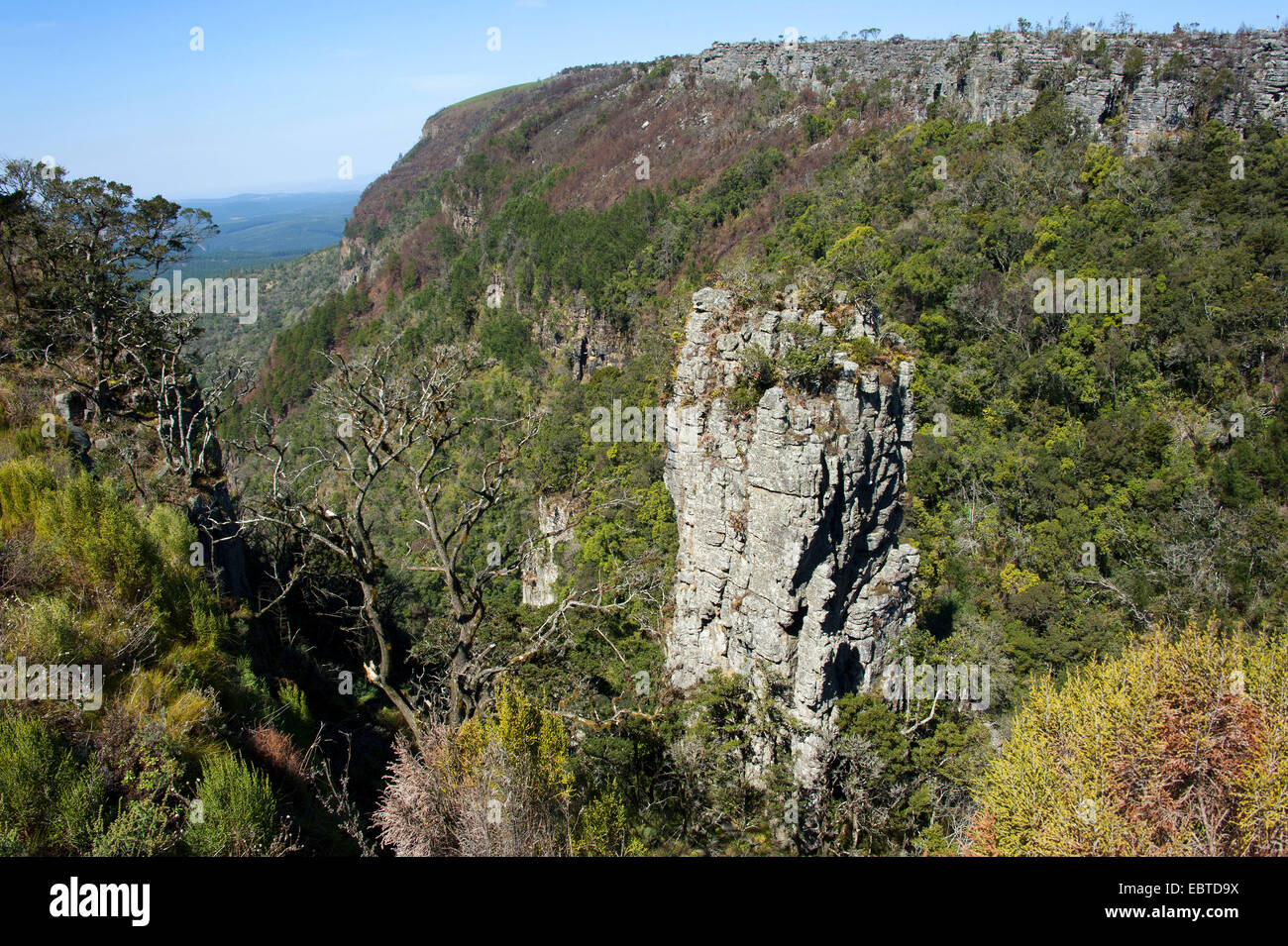 Rock Nadel "den Höhepunkt" im Blyde River Canyon, South Africa, Mpumalanga, Panorama Route, Graskop Stockfoto