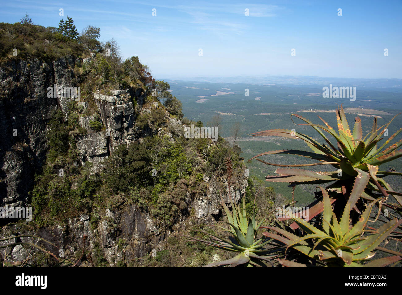 Pavillon "Gottes Fenster" im Blyde River Canyon, South Africa, Mpumalanga, Panorama Route, Graskop Stockfoto