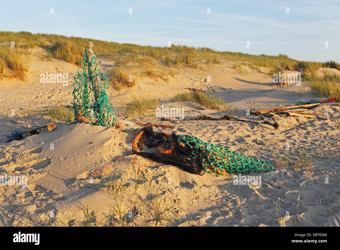 Müll am Strand in der Natur zu reservieren, De Slufter, Niederlande, Texel Stockfoto