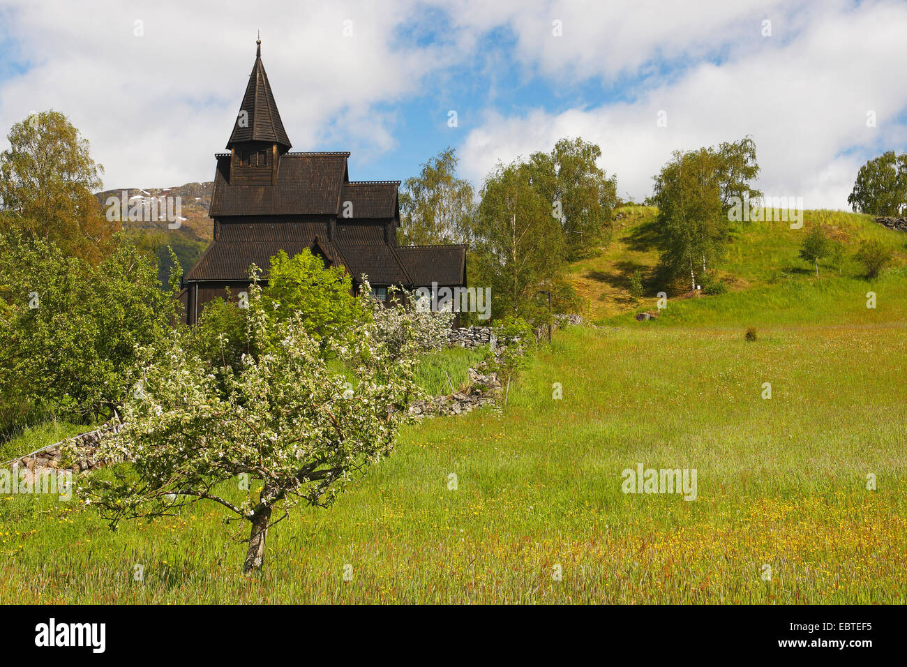 Daube Kirche Urnes, Norwegen, Ornes Stockfoto