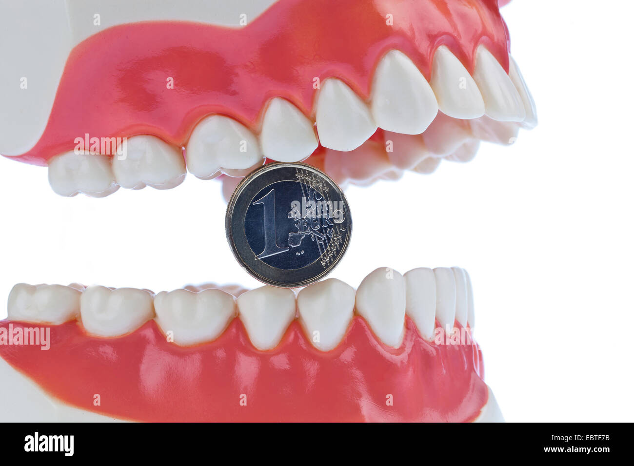 Modell von einem natürlichen Gebiss hält eine 1-Euro-Münze zwischen den Zähnen, als Symbol für die Kosten im Bereich dental Erholungshäusern Stockfoto