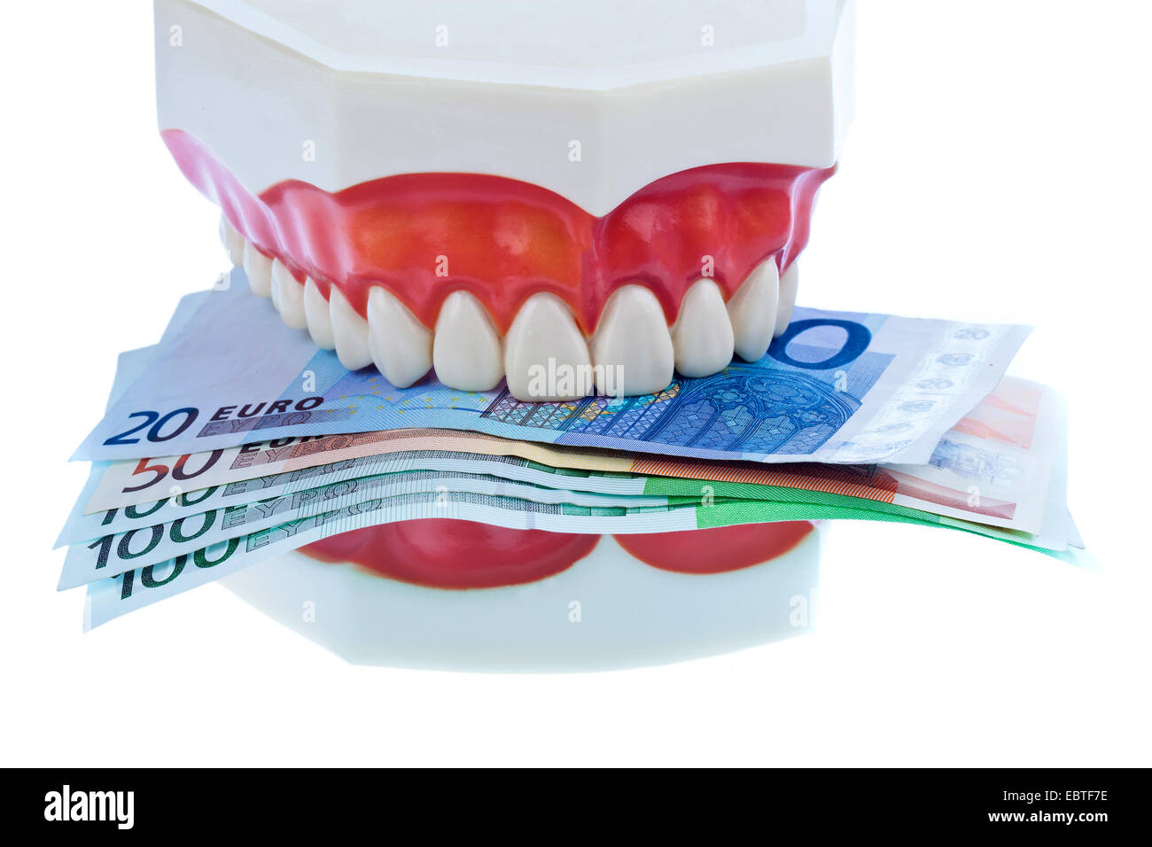 Modell von einem natürlichen Gebiss hält Euro-scheinen zwischen den Zähnen, als Symbol für die Kosten im Bereich dental Erholungshäusern Stockfoto