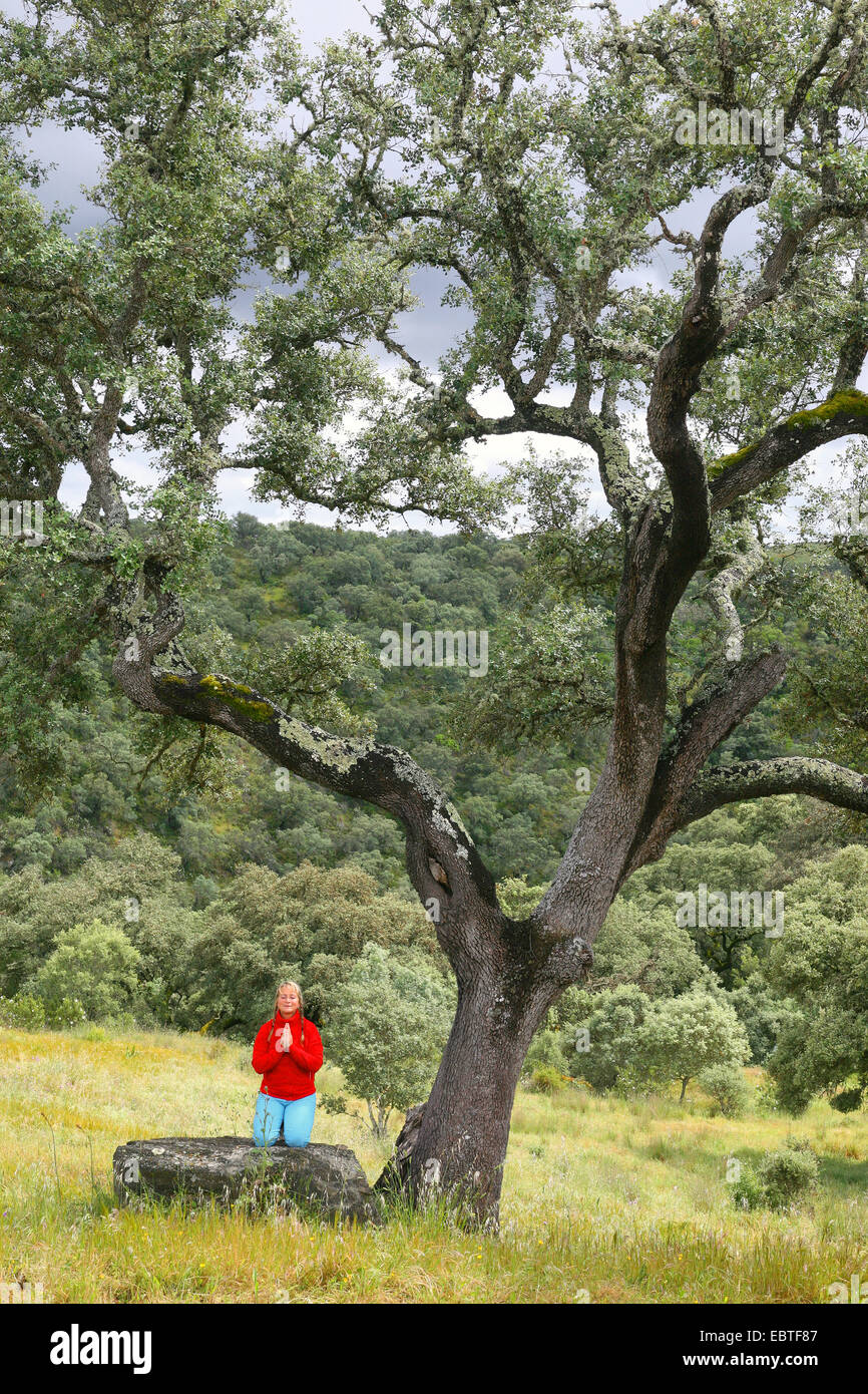 Kork-Eiche (Quercus Suber), junge Frau, die unter Korkeichen, Portugal, Alentejo meditiert Stockfoto