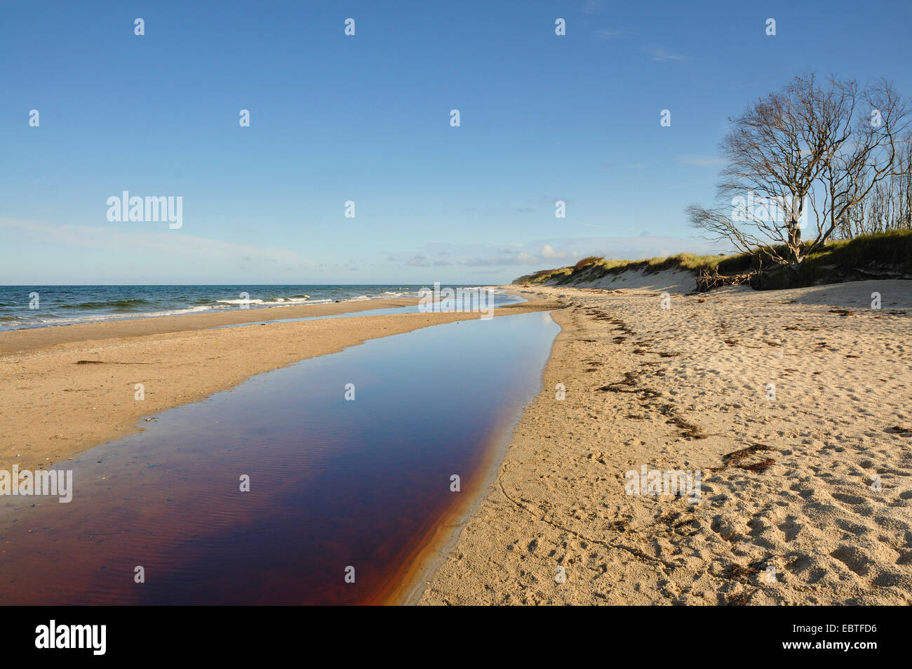 morgendliche Aussicht am westlichen Strand, Deutschland, Mecklenburg-Vorpommern, Western Region Nationalpark Vorpommersche Stockfoto