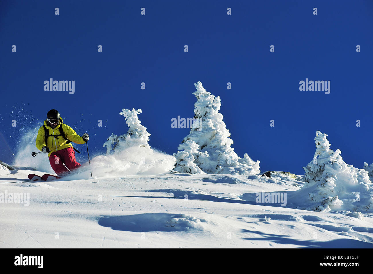 von der Piste Skifahren zwischen schneebedeckten Nadelbäume, Frankreich Stockfoto