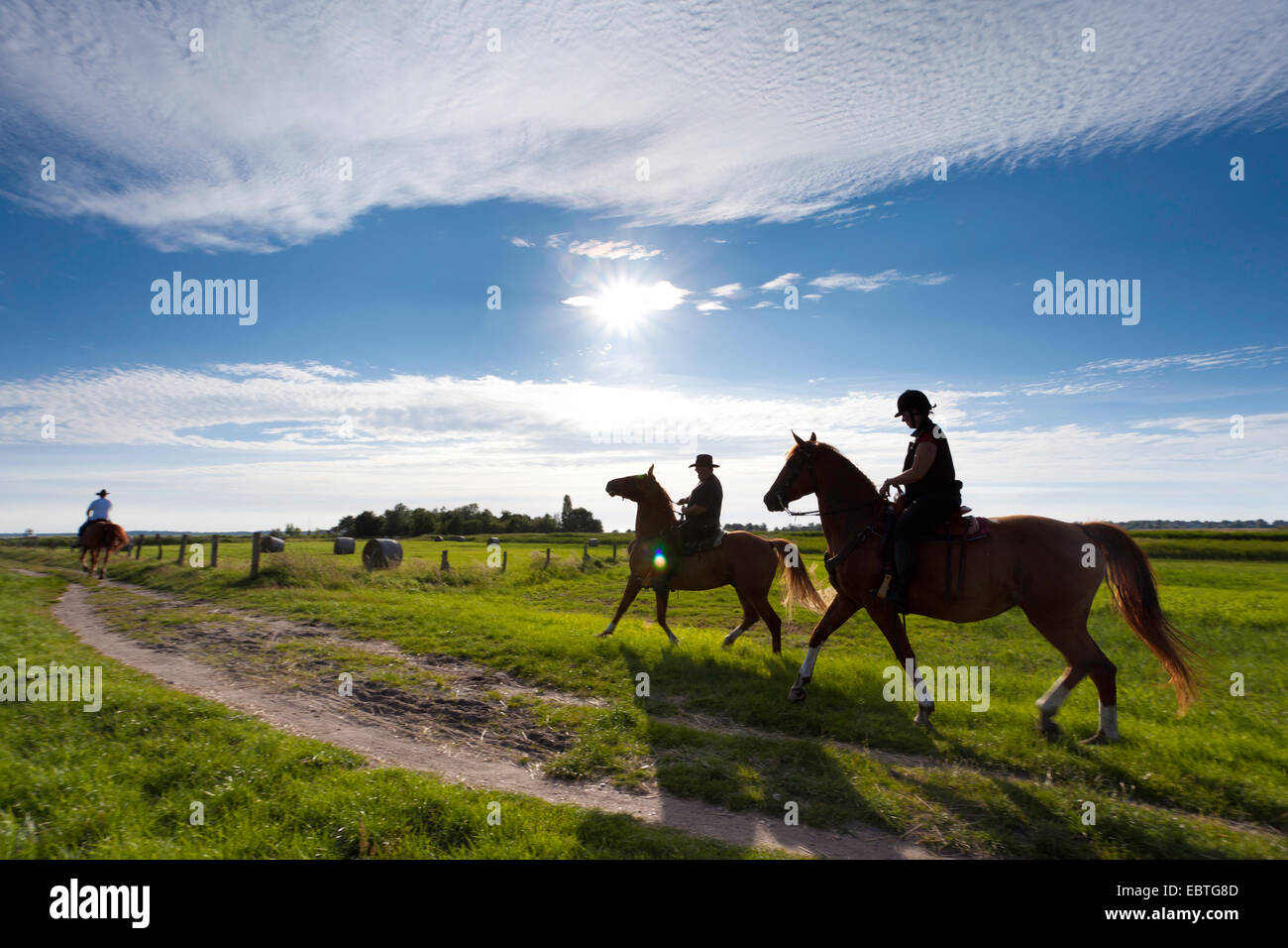 Fahrer in einer Auenlandschaft am Bodden, Deutschland, Mecklenburg-Vorpommern, Wustrow Stockfoto