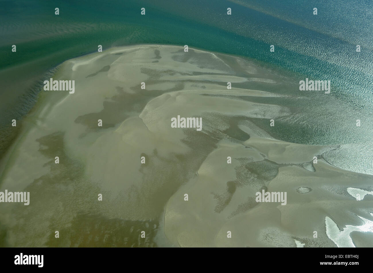 Blick aus einem Flugzeug auf einer Sandbank im Norden der Insel, Kolonie von gemeinsamen und grauen Dichtungen, Niederlande, Texel Stockfoto