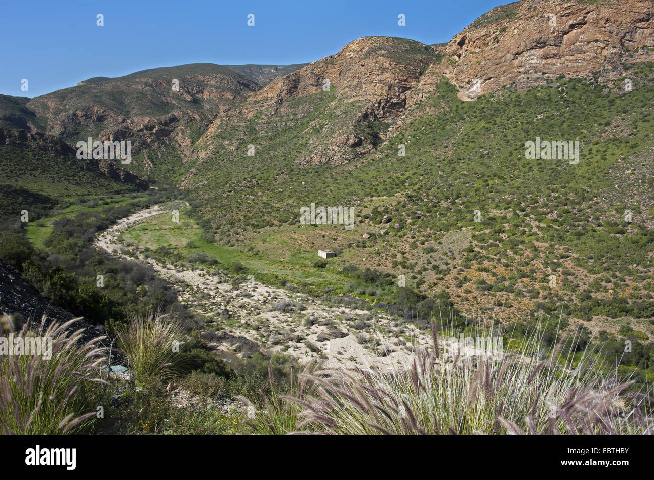 getrocknete Flussbett bei Huis River Pass, Südafrika, Western Cape Stockfoto