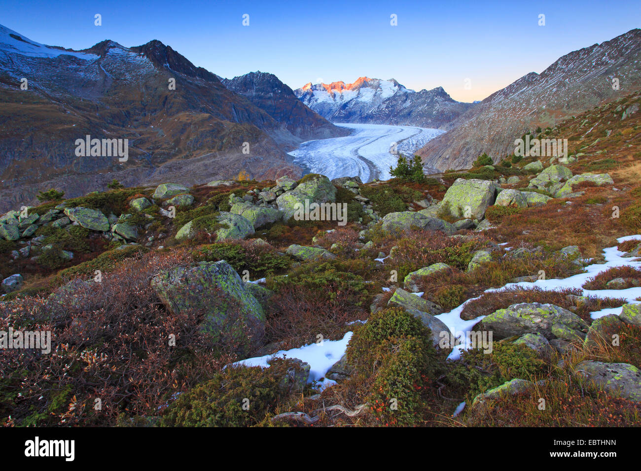Großen Aletschgletscher und Wannerhorn Berggruppe, Schweiz, Wallis Stockfoto