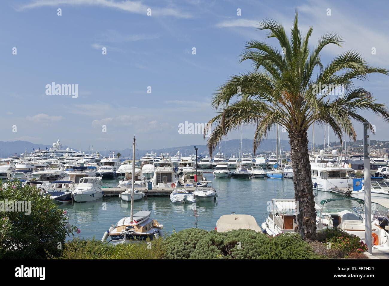 ´ Marina, Cannes, Cote Azur, Frankreich Stockfoto