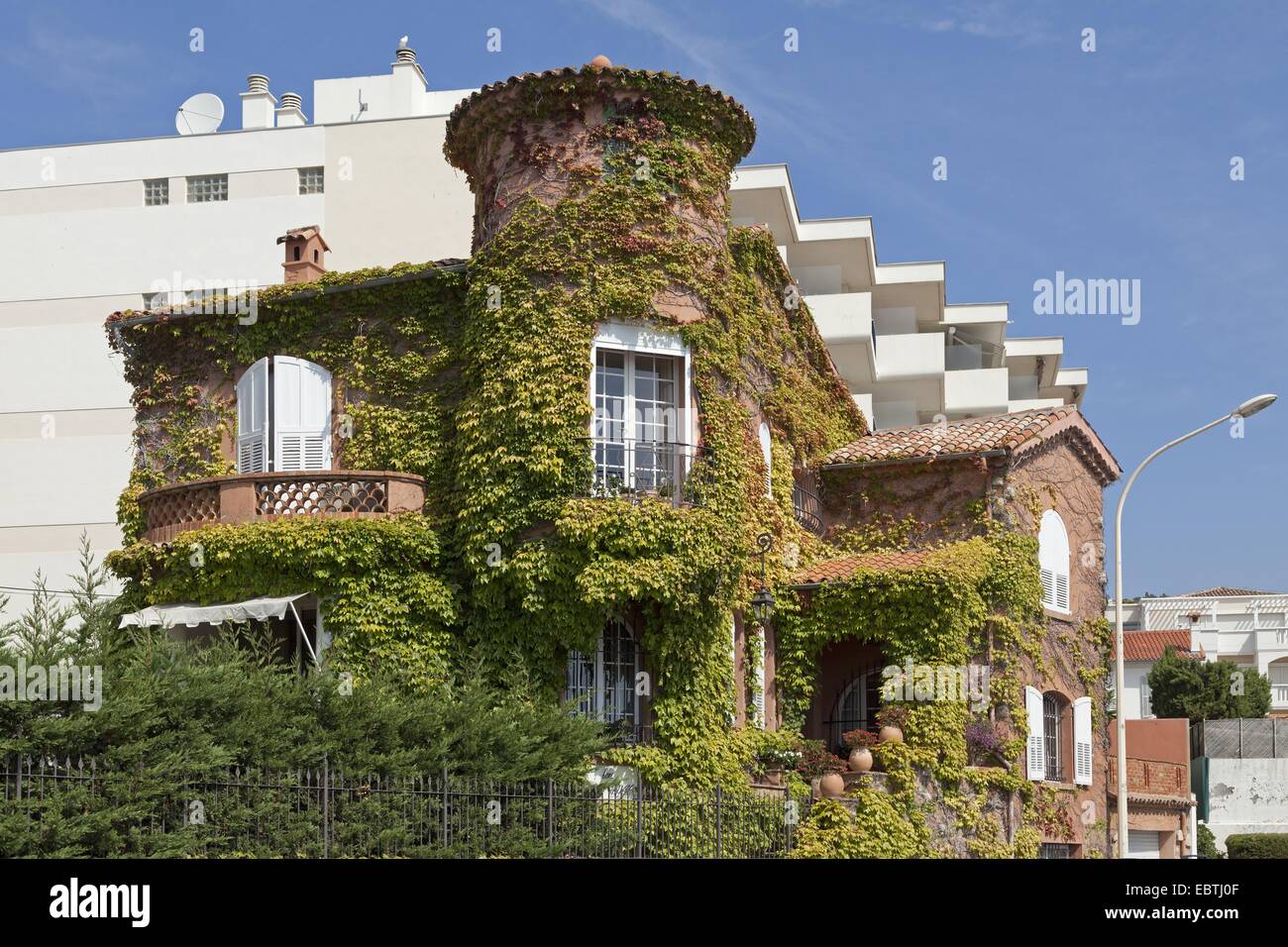 Haus, bewachsen mit Efeu, Cannes, ´ Cote Azur, Frankreich Stockfoto