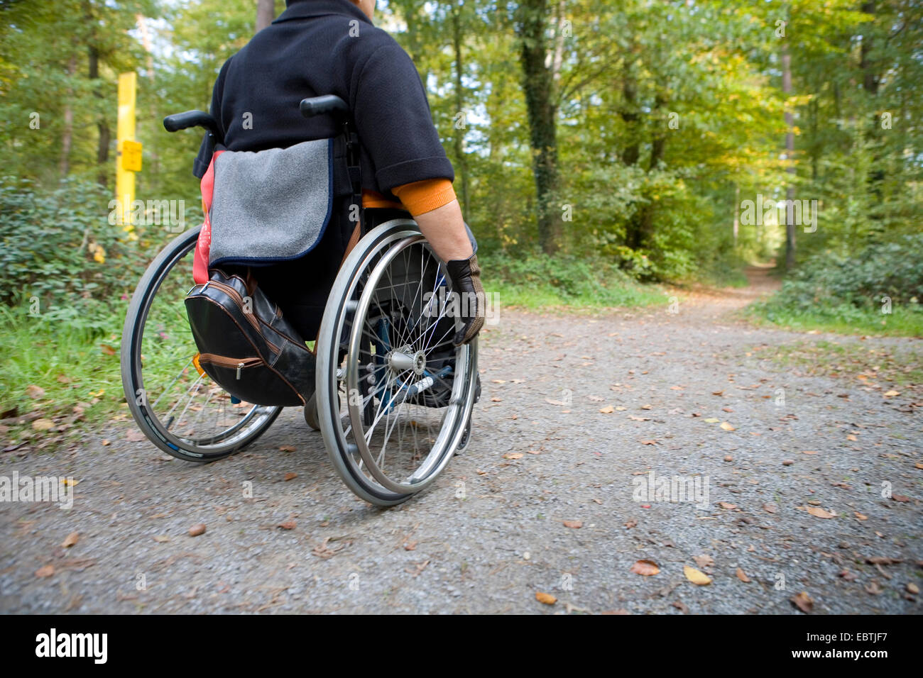 Frau in einem Rollstuhl auf einem Waldweg, deu ┤ tschla Stockfoto