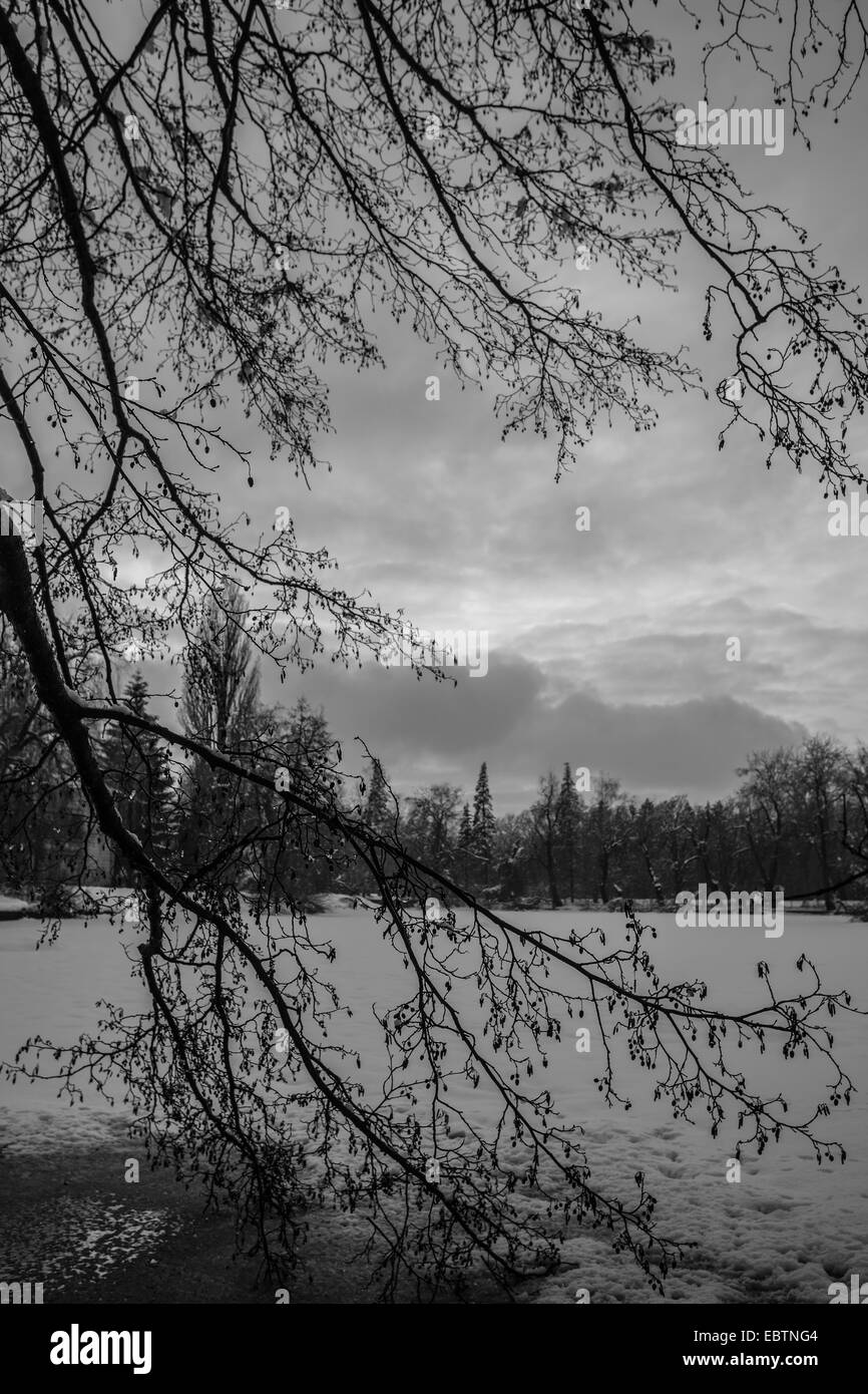 Winterlandschaft, Morgendämmerung über den Fluss am Morgen Stockfoto