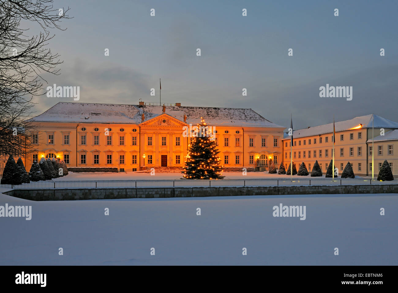 Schloss Bellevue, Schloss Bellevue, Amt des Bundespräsidenten, mit Weihnachtsbaum, Deutschland, Berlin Stockfoto