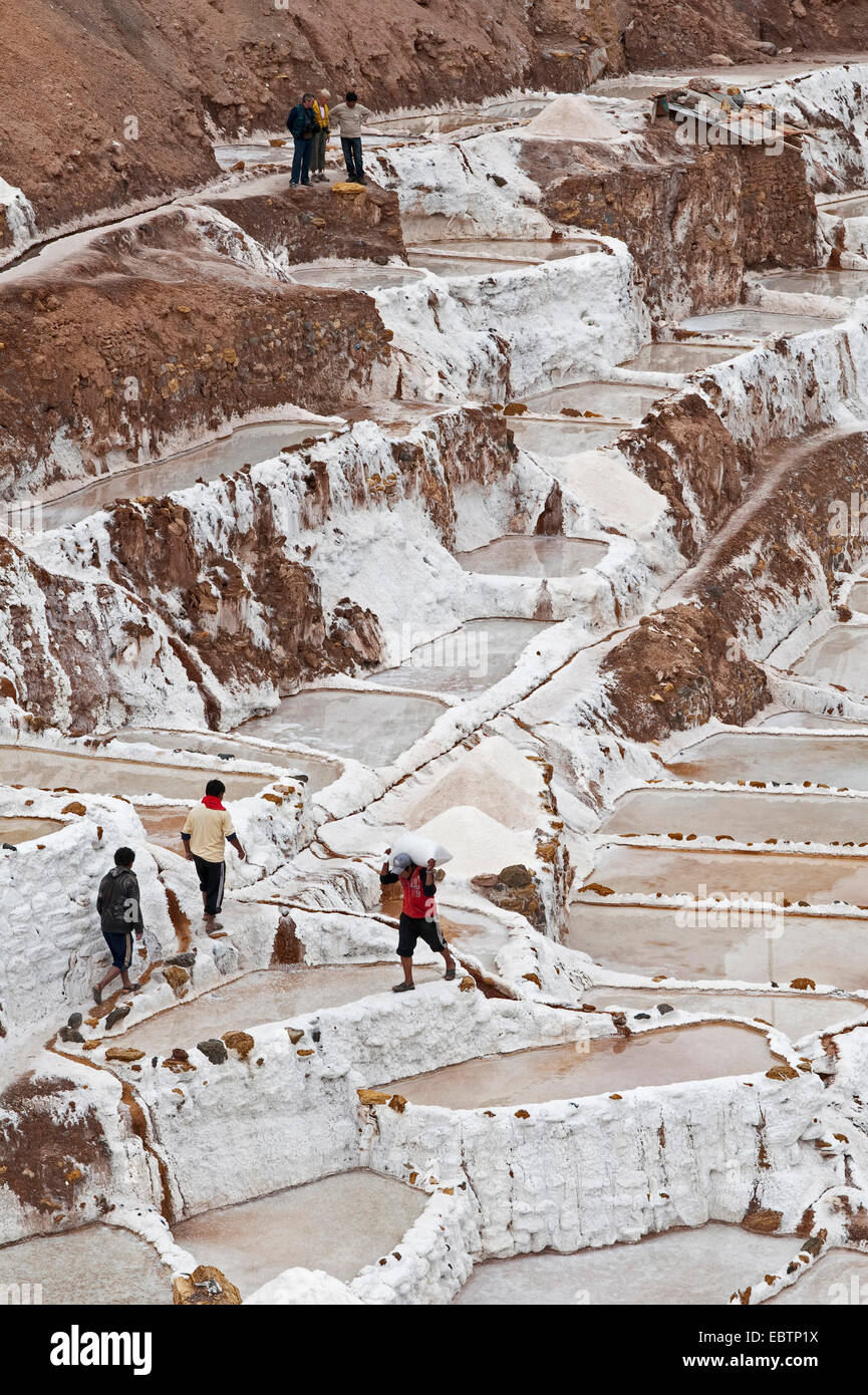 Arbeitnehmer mit Salz in Salinen Salinas De Maras, Peru, Maras Stockfoto