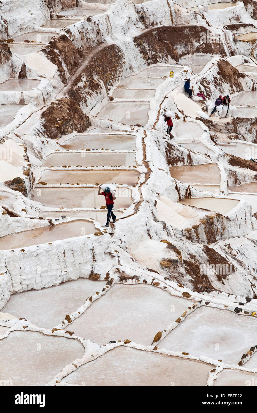 Arbeiter mit Salz in das Salz Pfannen Salinas De Maras, Peru, Maras Stockfoto