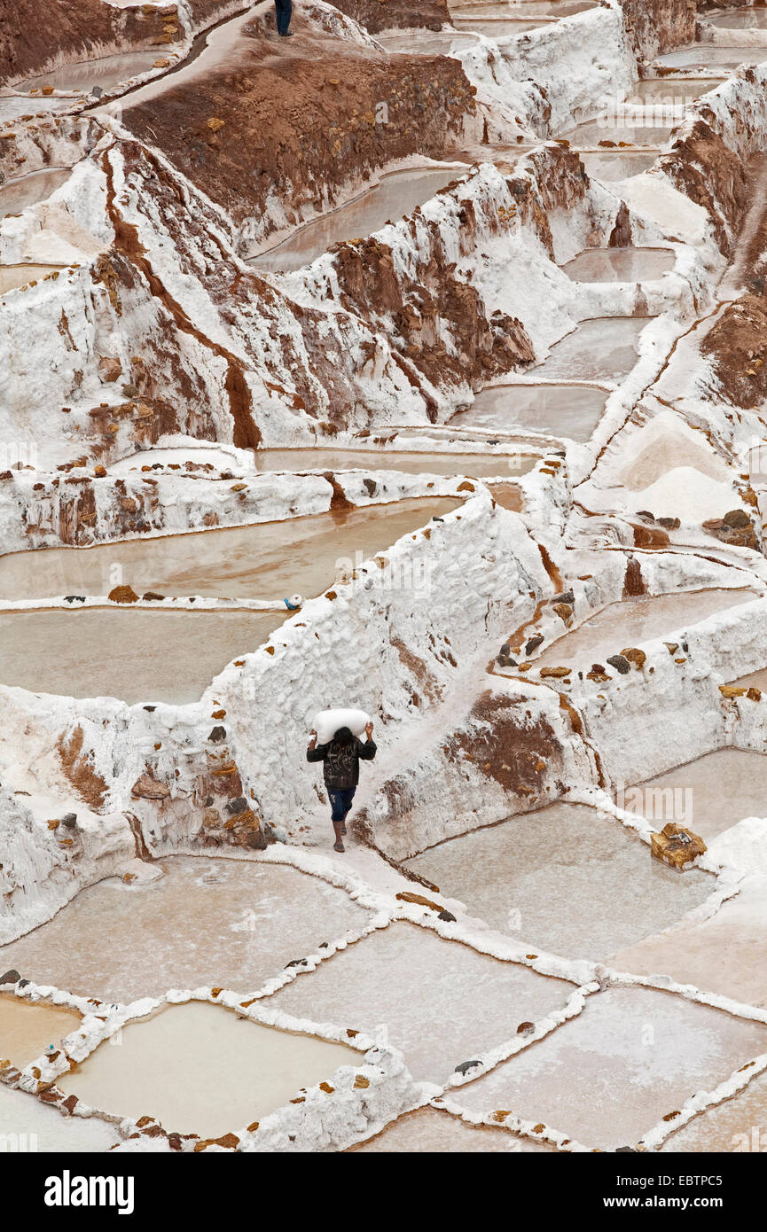 Arbeitnehmer, die Transport von Salz in das Salz Pfannen Salinas De Maras, Peru, Maras Stockfoto