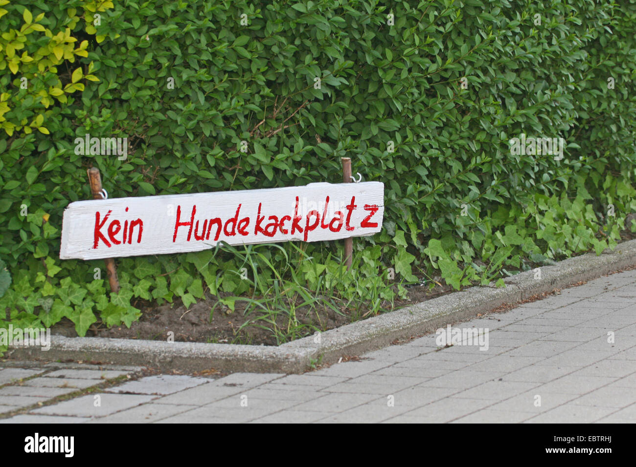 Schild mit der Aufschrift "keine Hundetoilette" bei einer Hecke, Deutschland, Nordrhein-Westfalen Stockfoto
