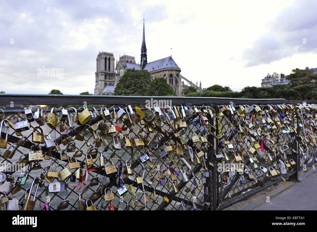 Liebesschlösser am Geländer des Pont de L'Archeveche, Kathedrale Notre-Dame de Paris im Hintergrund, Frankreich, Paris Stockfoto