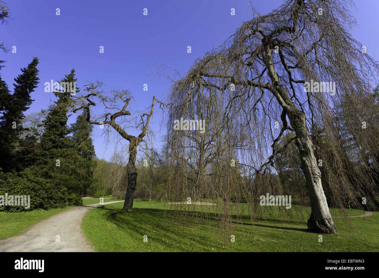 Frühling im Park des ChÔteau Greiz, Deutschland, Thüringen, Greiz Stockfoto