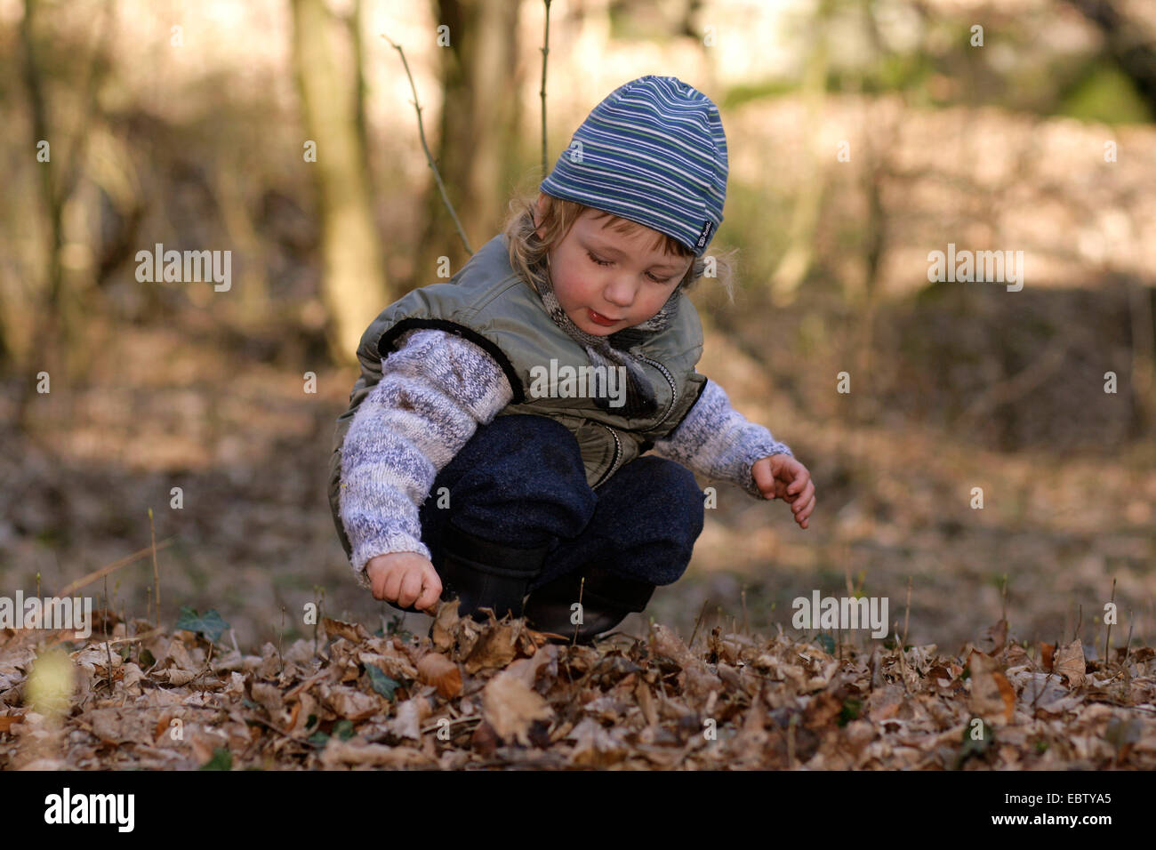 kleiner Junge spielt im Laub, Deutschland Stockfoto