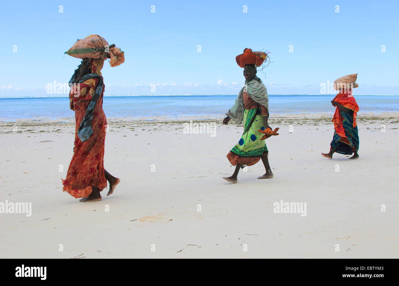 Frauen tragen Taschen mit Algen auf ihren Köpfen am Sandstrand, Tansania, Sansibar Stockfoto