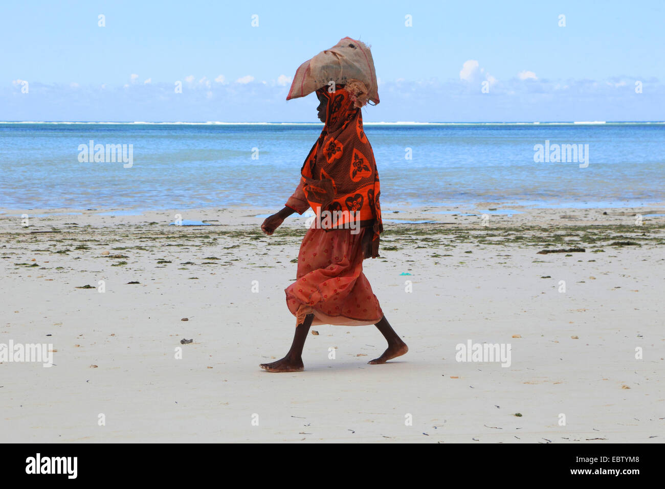 Frau mit einer Tasche mit Algen auf dem Kopf am Sandstrand, Tansania, Sansibar Stockfoto
