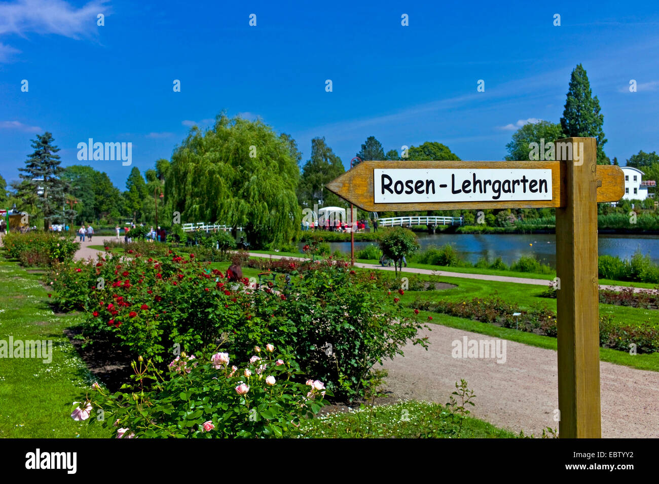 Rosarium Uetersen, Schilder, Deutschland, Schleswig-Holstein, Pinneberg, Uetersen Stockfoto