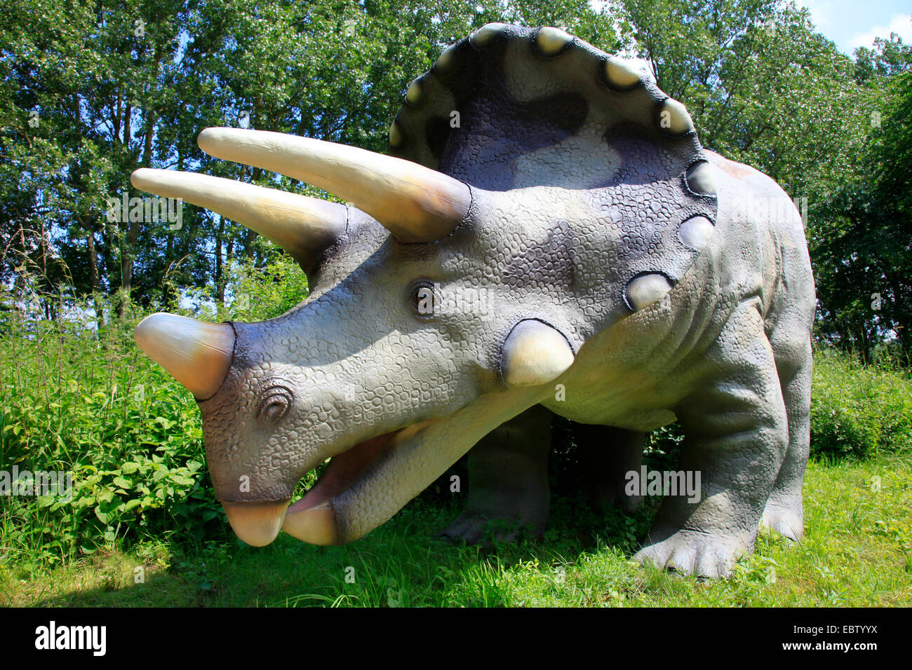 Drei gehörnten Dinosaurier (Triceratops), mit Jugendlichen auf einer Lichtung Stockfoto