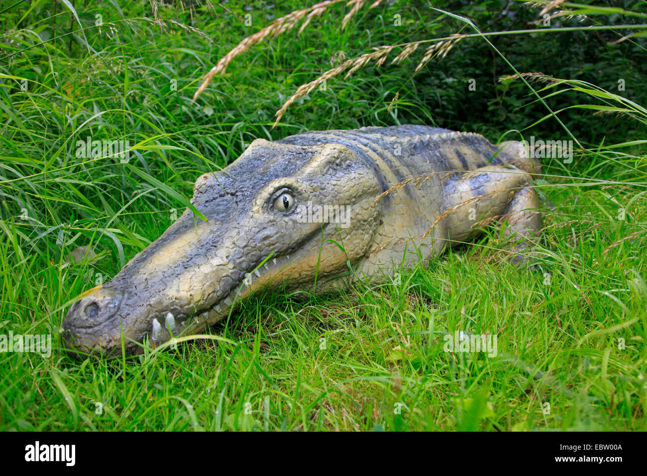 Abgewinkelte Schild (Goniopholis), liegen auf einer Wiese, Vorfahren der jüngsten Krokodile Stockfoto