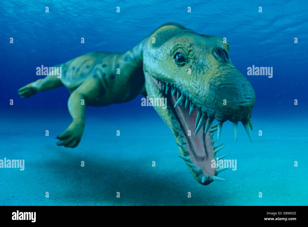 Nothosaur (Nothosaurus), Tauchen Stockfotografie Alamy