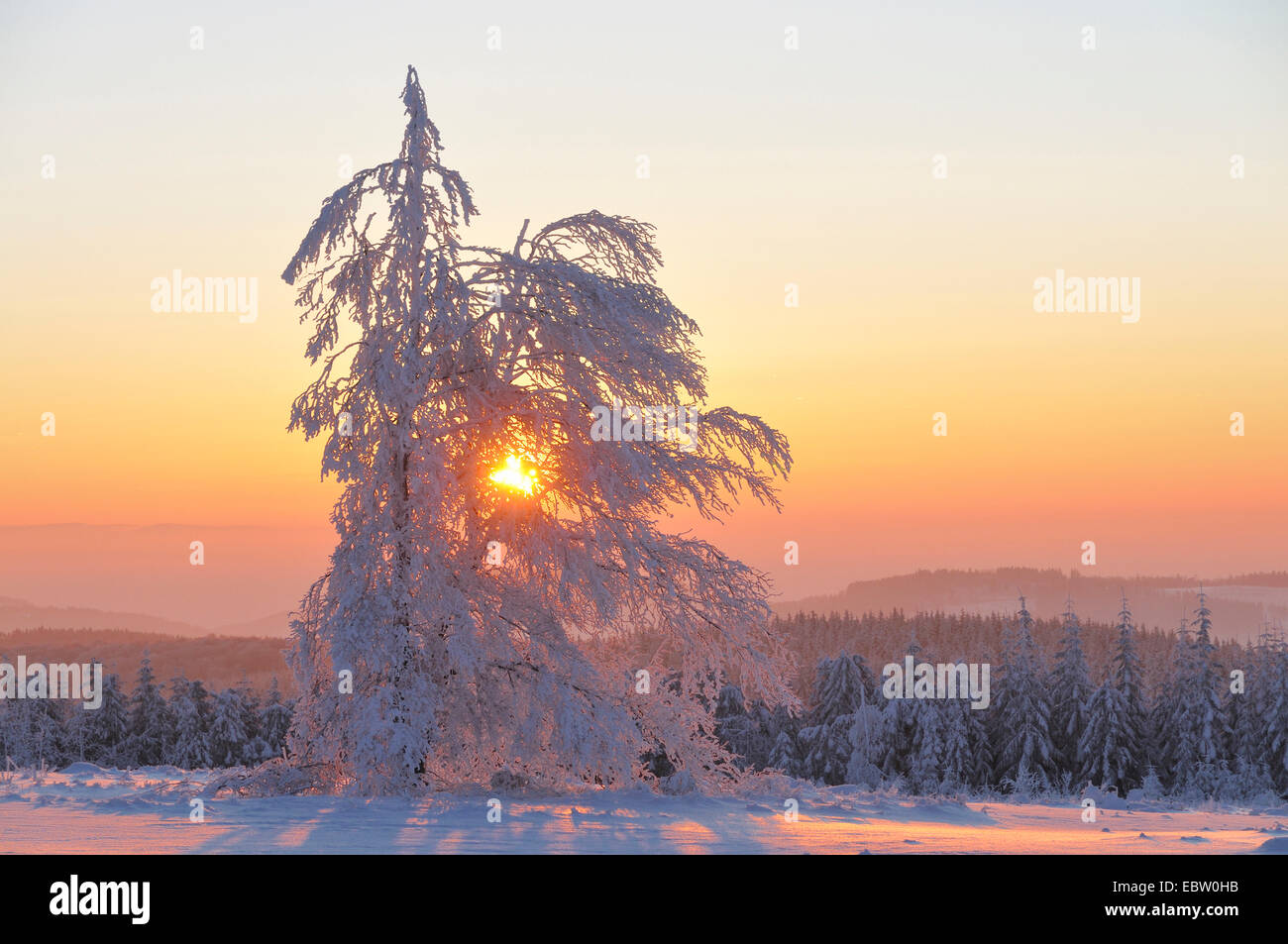 Winterlandschaft bei Sonnenaufgang, Deutschland, Nordrhein-Westfalen, Sauerland Stockfoto