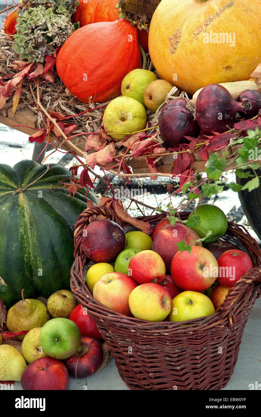 Äpfel, Birnen, Kürbisse und Zwiebeln zum Erntedankfest Stockfoto