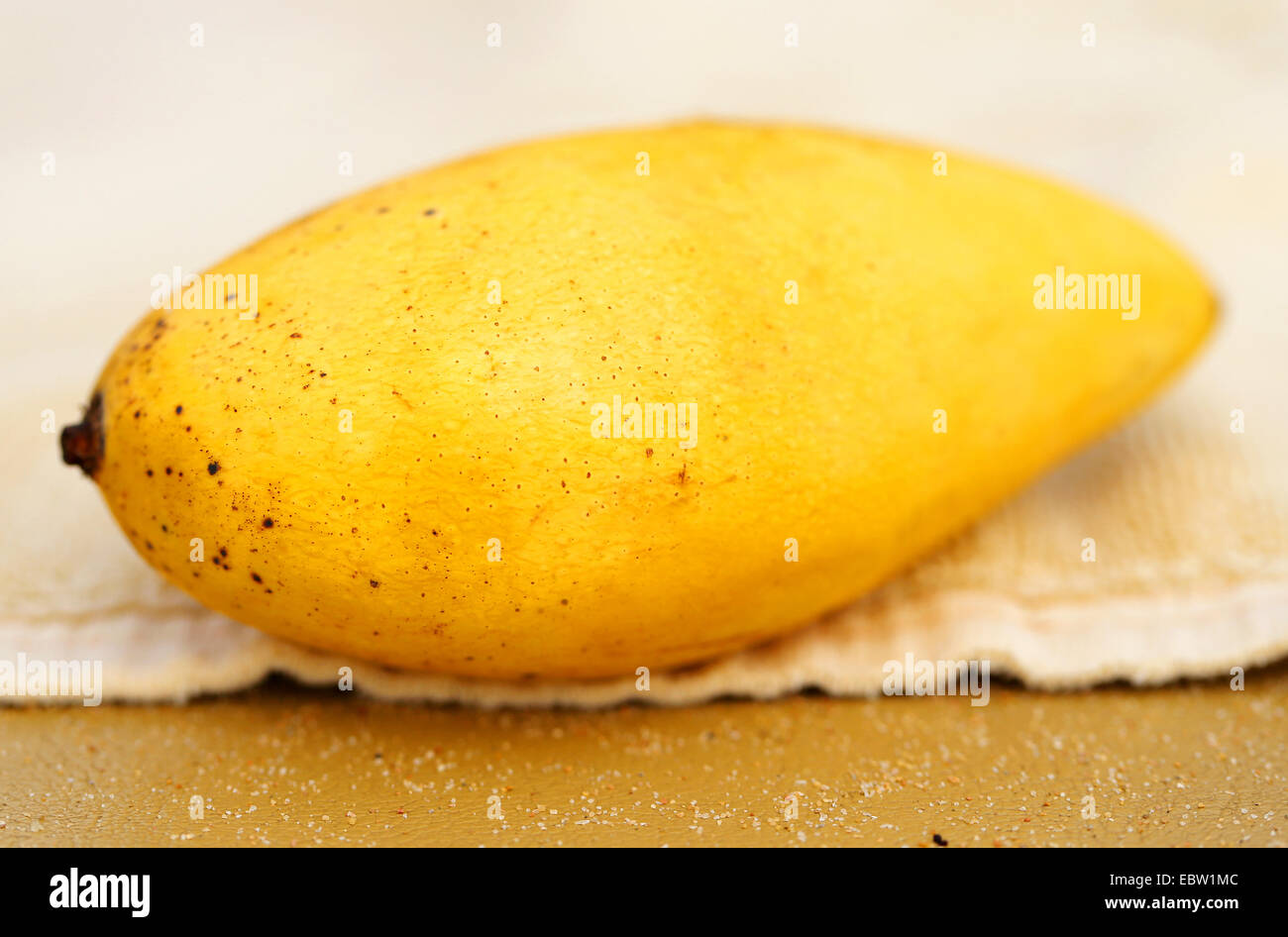 leckeres gelbe Mango eine fotografierten hautnah Stockfoto