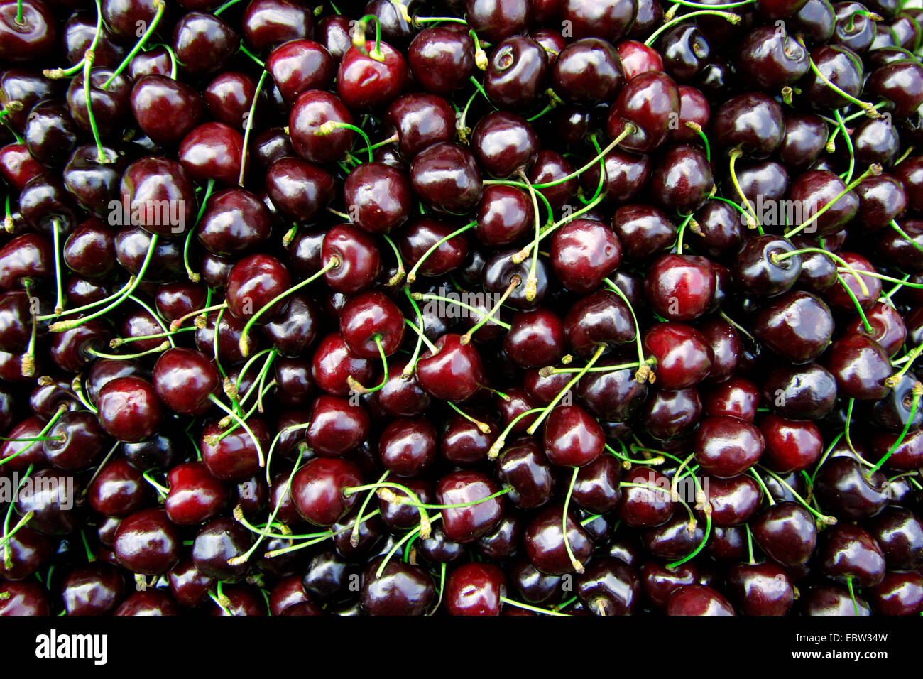 schwarze Kirschen auf einem Markt Stockfoto