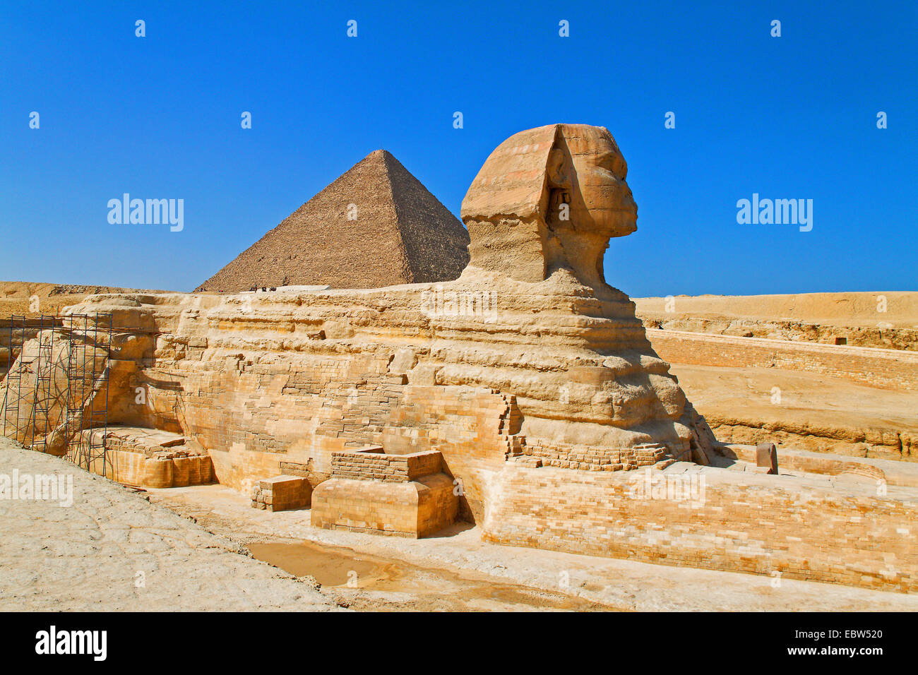 Große Sphinx von Gizeh mit Pyramide des Chephren, Ägypten, Gizeh Stockfoto