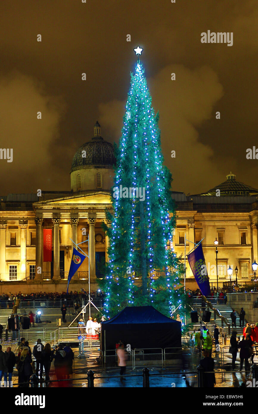 London, UK. 4. Dezember 2014. Beleuchtung des Trafalgar Square Christmas Tree lights in Trafalgar Square in London, England-Credit: Paul Brown/Alamy Live News Stockfoto