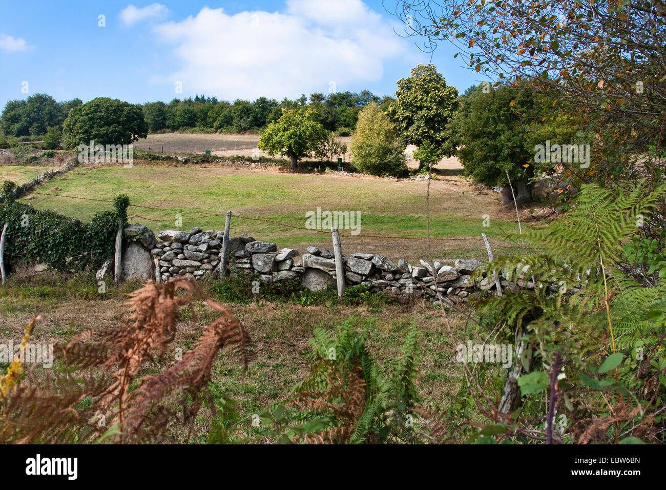 Galizische Landschaft am Way of St. James zwischen Morgade und Ferreiros, Spanien, Galicien, Lugo, Weg von Morgade Nach Ferreiros Stockfoto