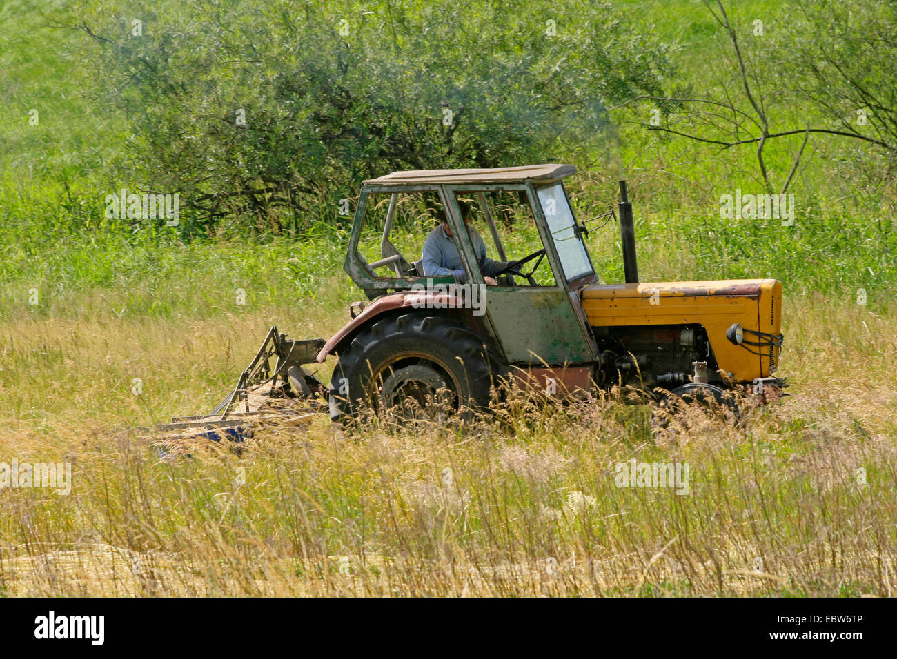 alte polnische Traktor schneiden Wiese, Polen, Westpommern, Gozdowice Stockfoto