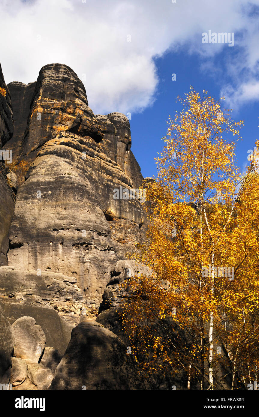 Blick auf die verkratzten Steinen im Herbst, Elbsandsteingebirge, Nationalpark Saechsische Schweiz, Sachsen, Deutschland Stockfoto
