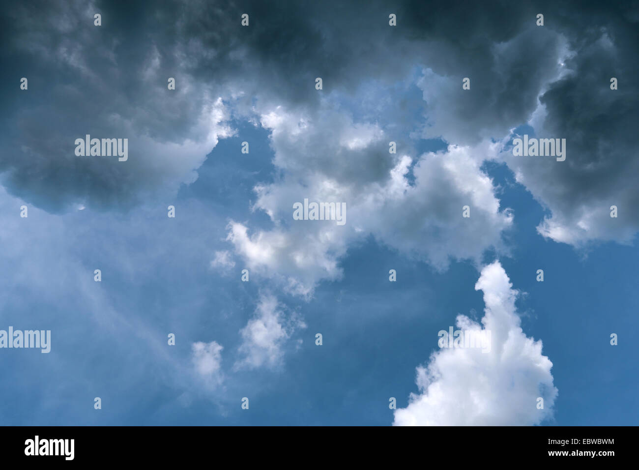 ungewöhnliche Cumulus-Wolken, die von der Sonne beleuchtet Stockfoto