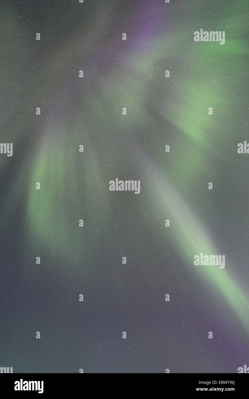 Polarlicht in Lofoten, Norwegen Stockfoto