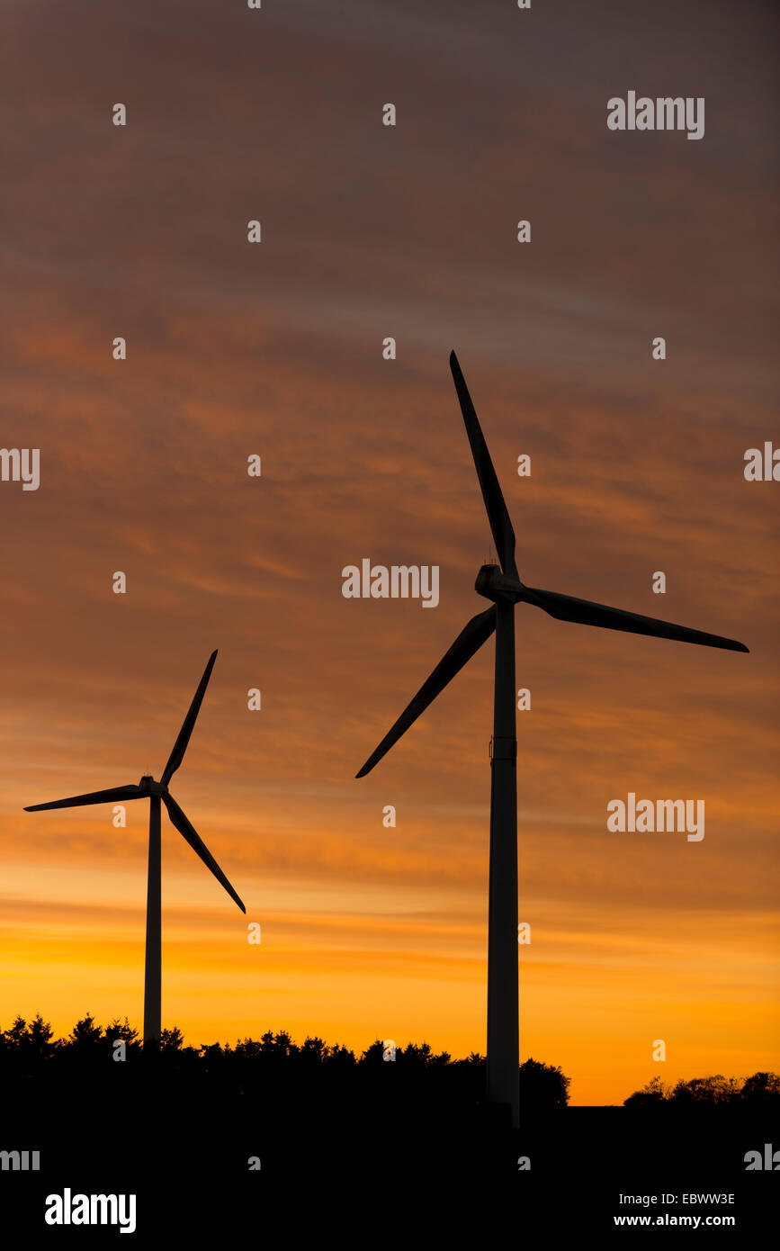 Windenergieanlagen bei Sonnenuntergang, Aalborg, Jütland, Dänemark Stockfoto
