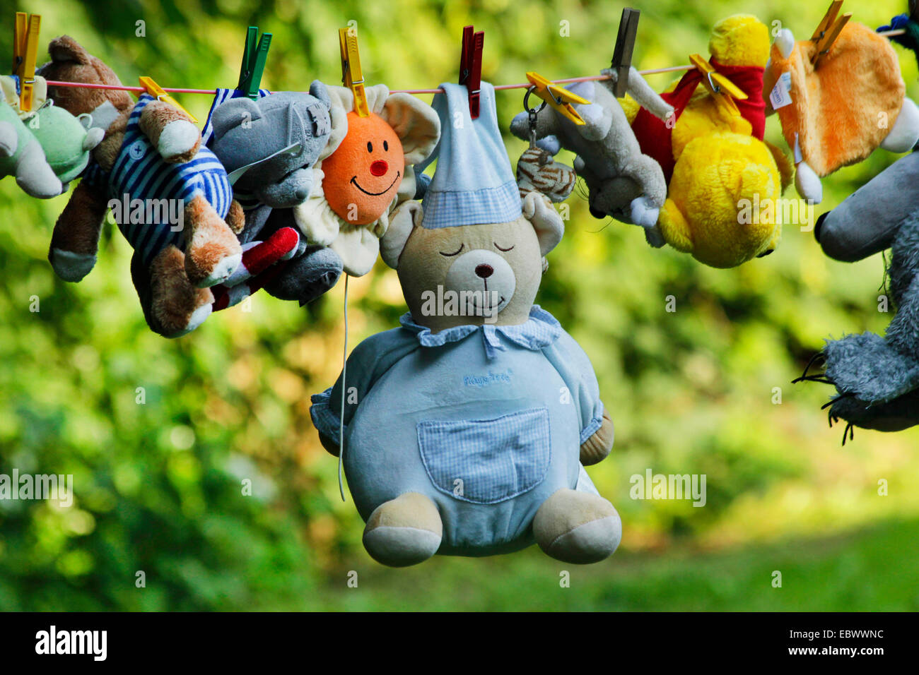 gewaschen Stofftiere hängt an einer Wäscheleine, Deutschland Stockfoto