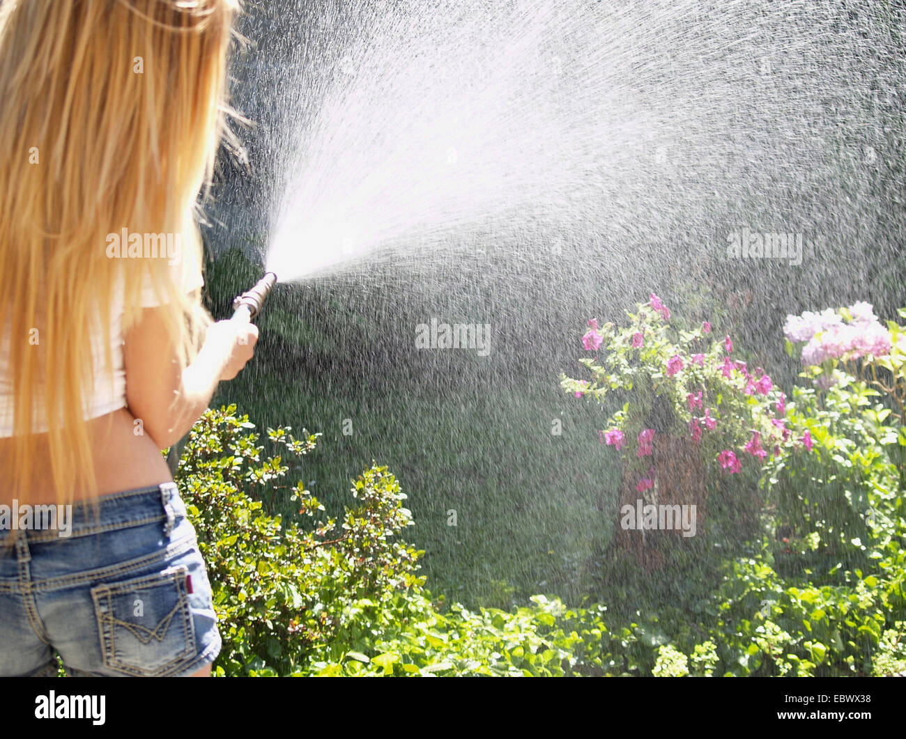 junge Frau, die einen Rosengarten mit einem Gartenschlauch gießen Stockfoto